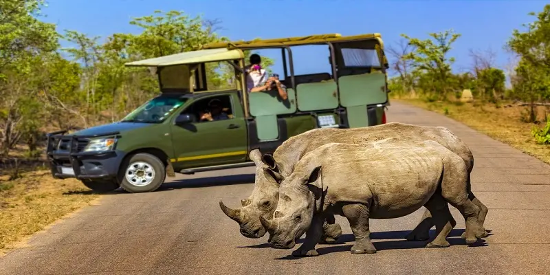 best-places-to-visit-in-africa Best Places to Visit in Africa